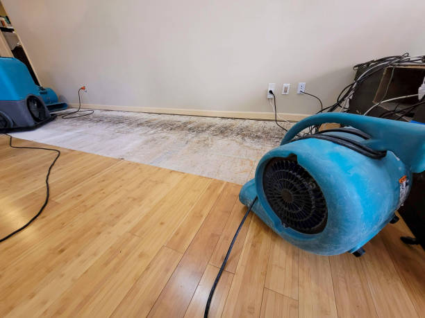 Professional Structural Drying technician working in Lakeshore, LA